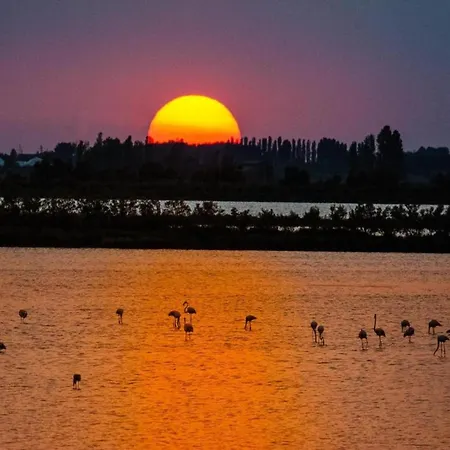 Pleasant In Rosolina Mare