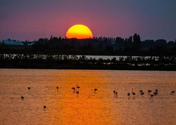 Pleasant In Rosolina Mare